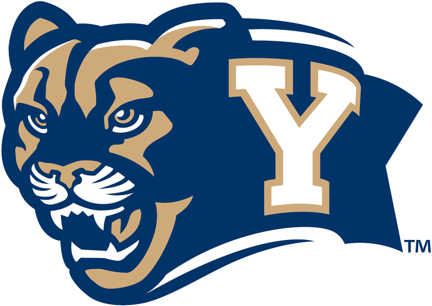 Brigham Young Cougars 2005-Pres Secondary Logo diy DTF decal sticker